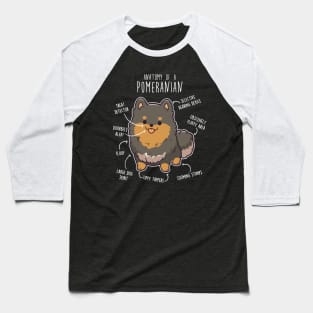 Black and Tan Pomeranian Dog Anatomy Baseball T-Shirt